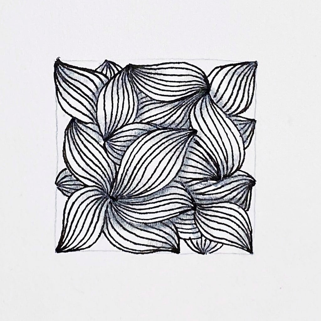 Composition dentelle Zentangle