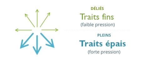 Calligraphie pleins et déliés