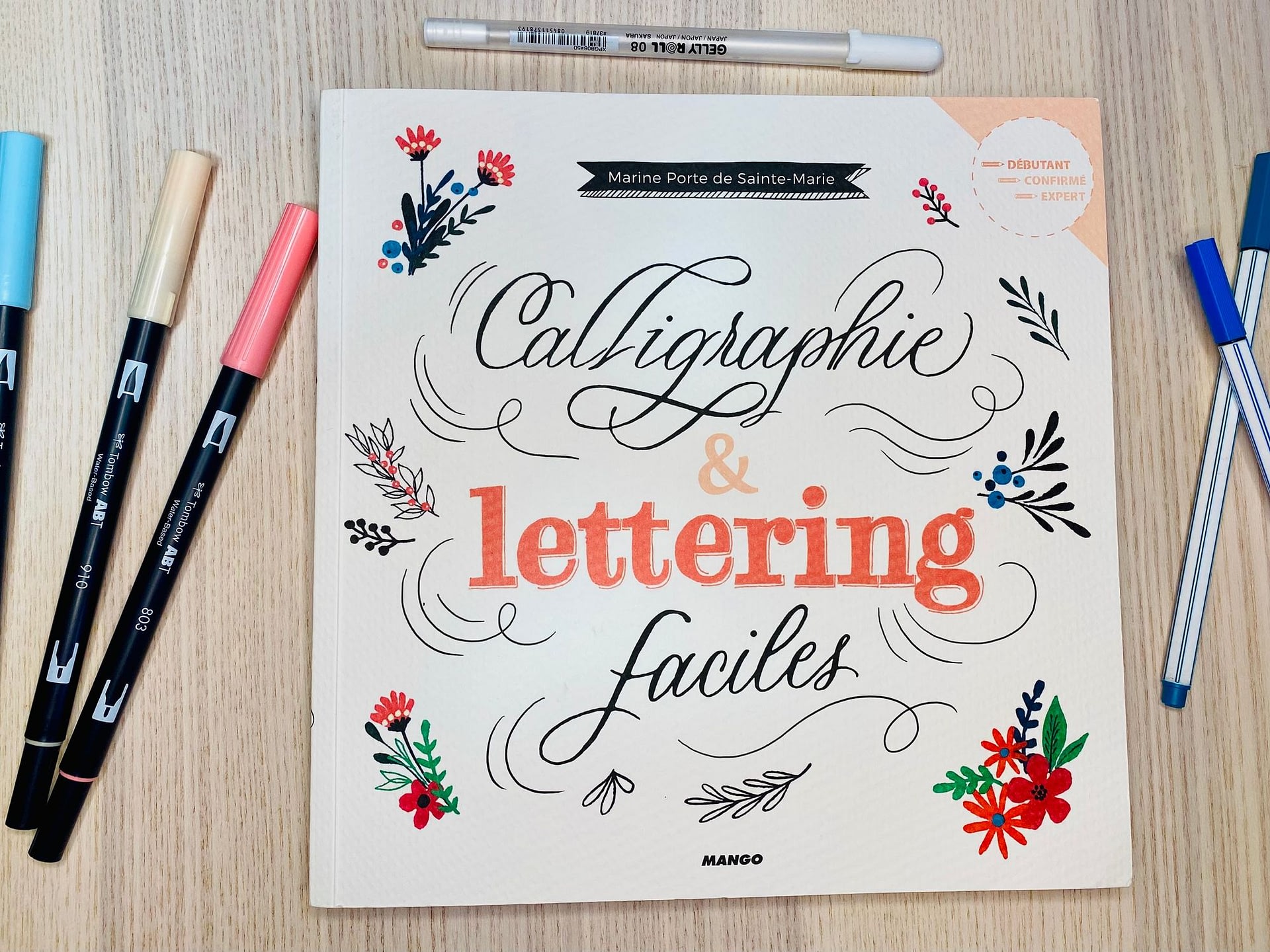 Calligraphie et Letterinf Faciles Marine Porte de Sainte-Marie