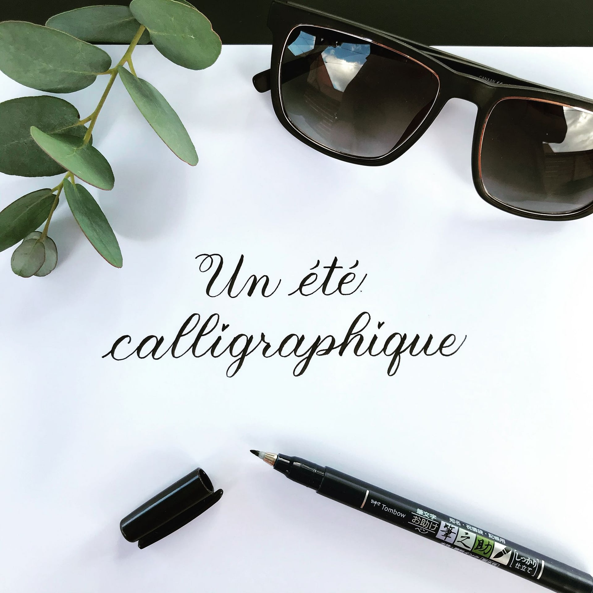 Rari Creation - calligraphie au tombow fusentosuke